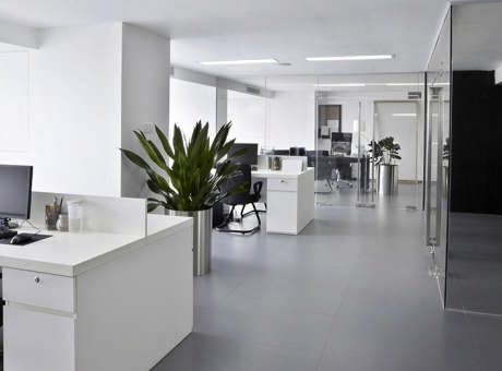 Key Trends In Interior Office Design Space In The Present Era