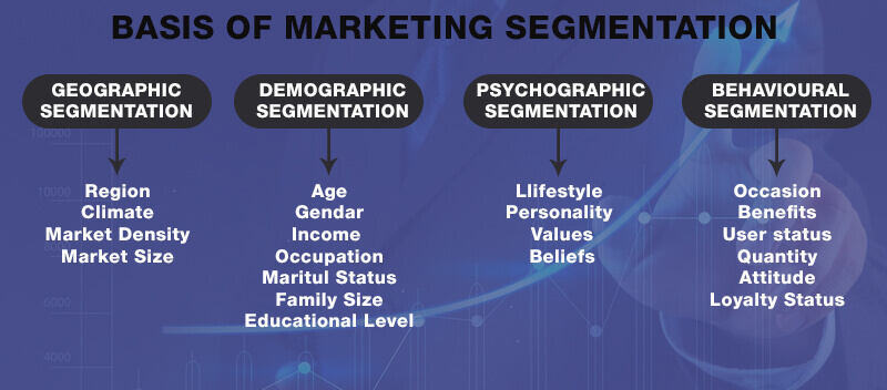 Basics of Marketing Segmentation